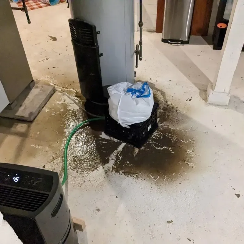 Sewage Backup Cleanup Service in Boonville, MO